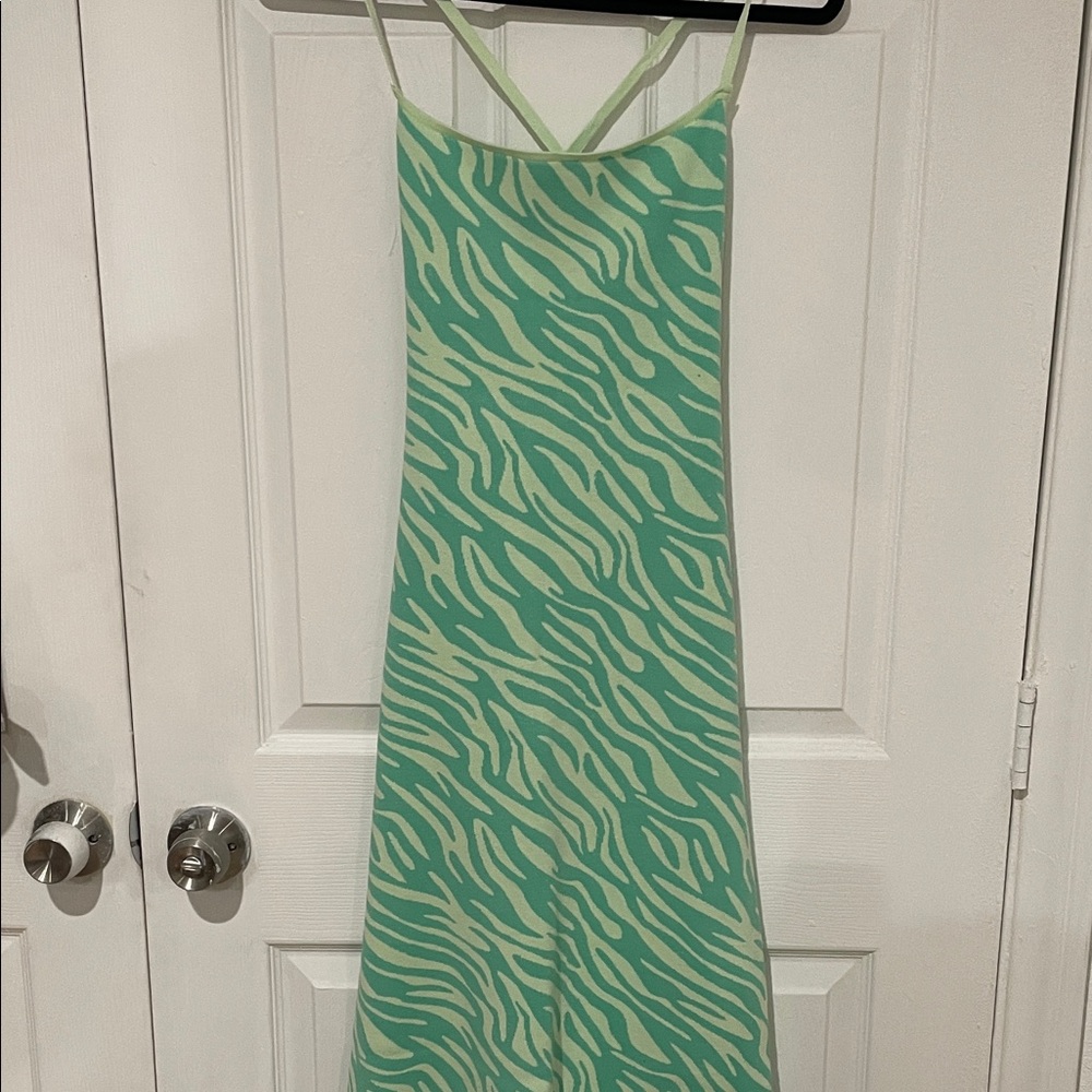 Zara Green Zebra Print Dress